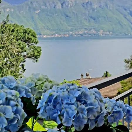 Appartement Casa Frida